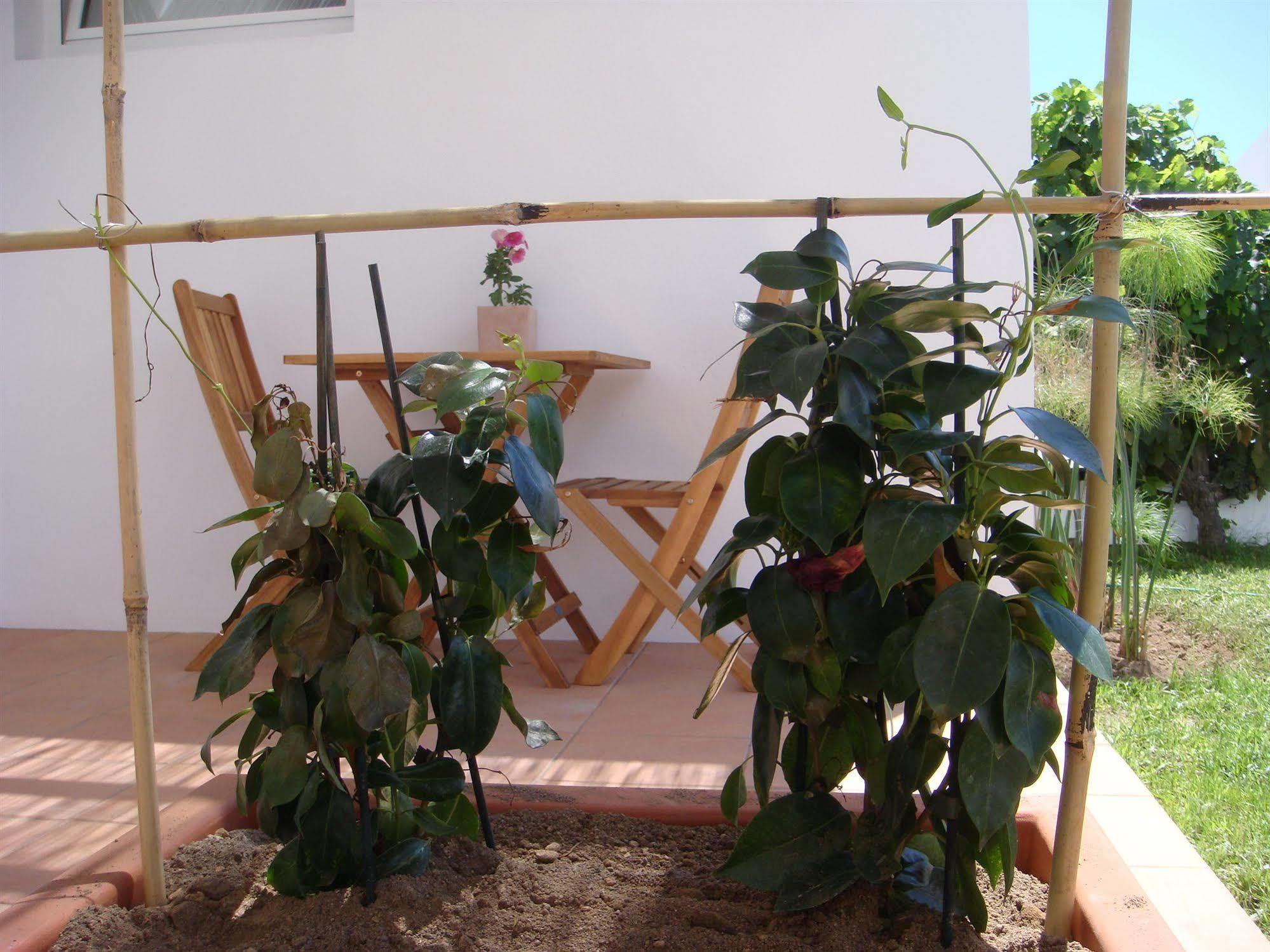 Casa Da Ilha - Slow Living Residence & Suites Ponta Delgada Zewnętrze zdjęcie